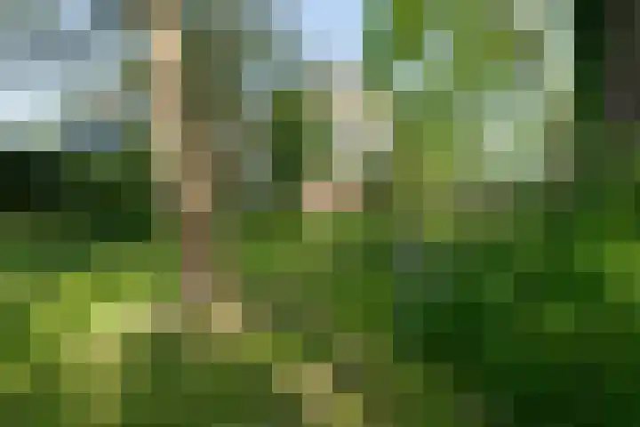 Oosteinde 25 Berkhout thumbnail 25