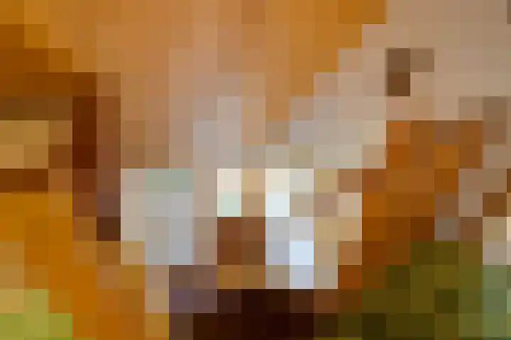 Oosteinde 25 Berkhout thumbnail 32