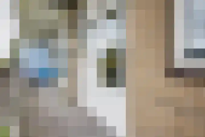 Oosteinde 25 Berkhout thumbnail 34