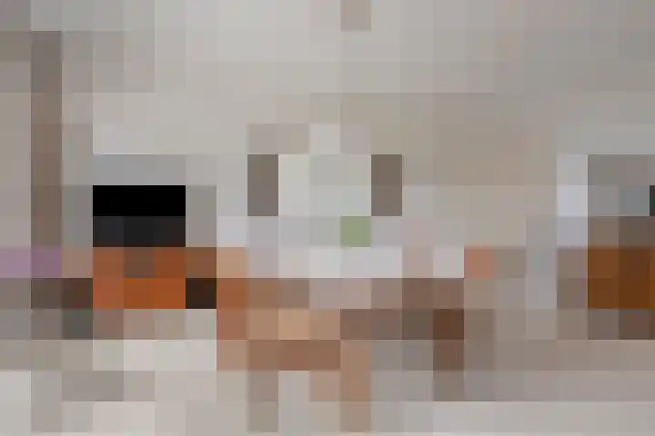 Oosteinde 25 Berkhout thumbnail 38