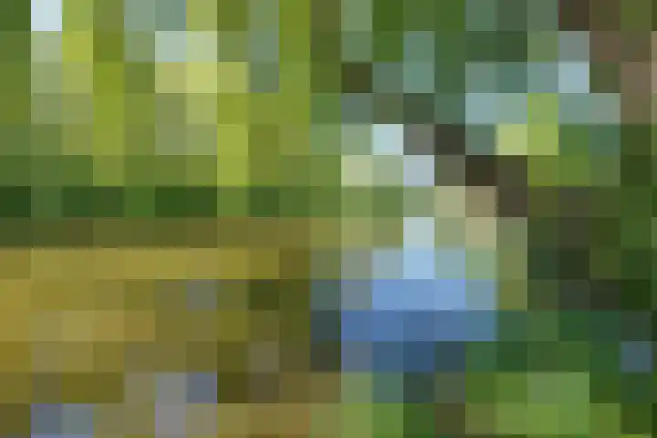 Oosteinde 25 Berkhout thumbnail 5