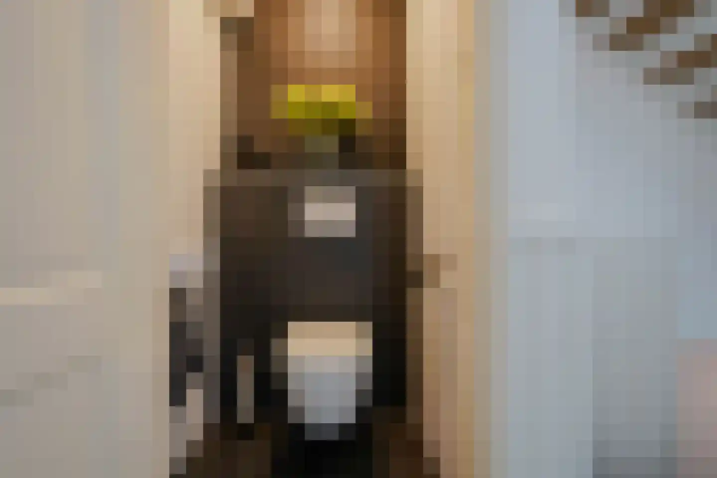 Oosteinde 257 Voorburg thumbnail 11