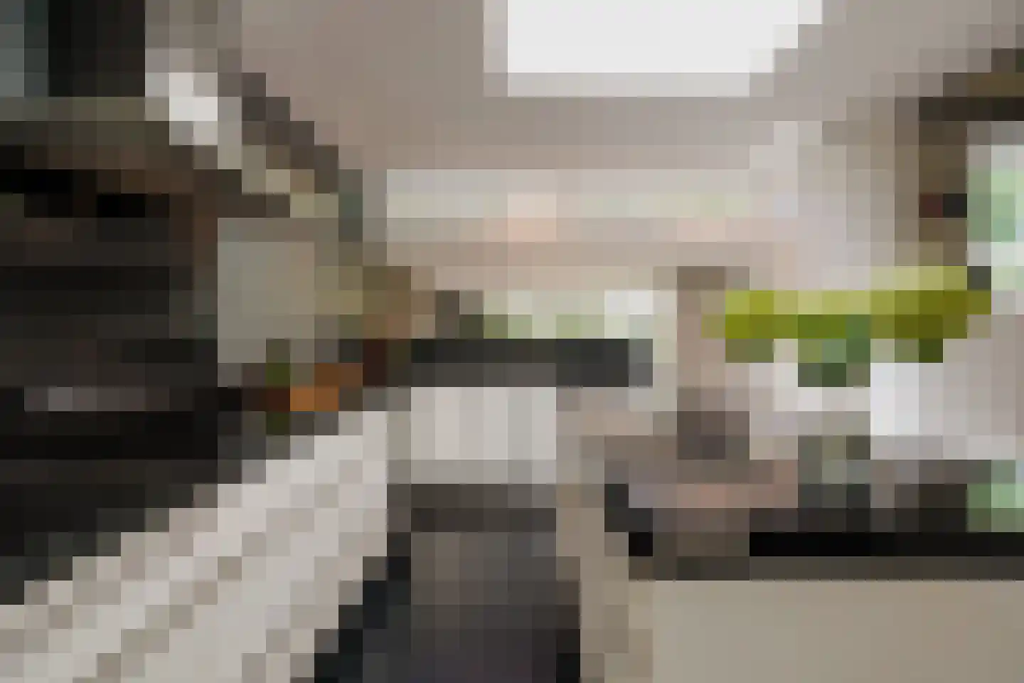 Oosteinde 257 Voorburg thumbnail 13