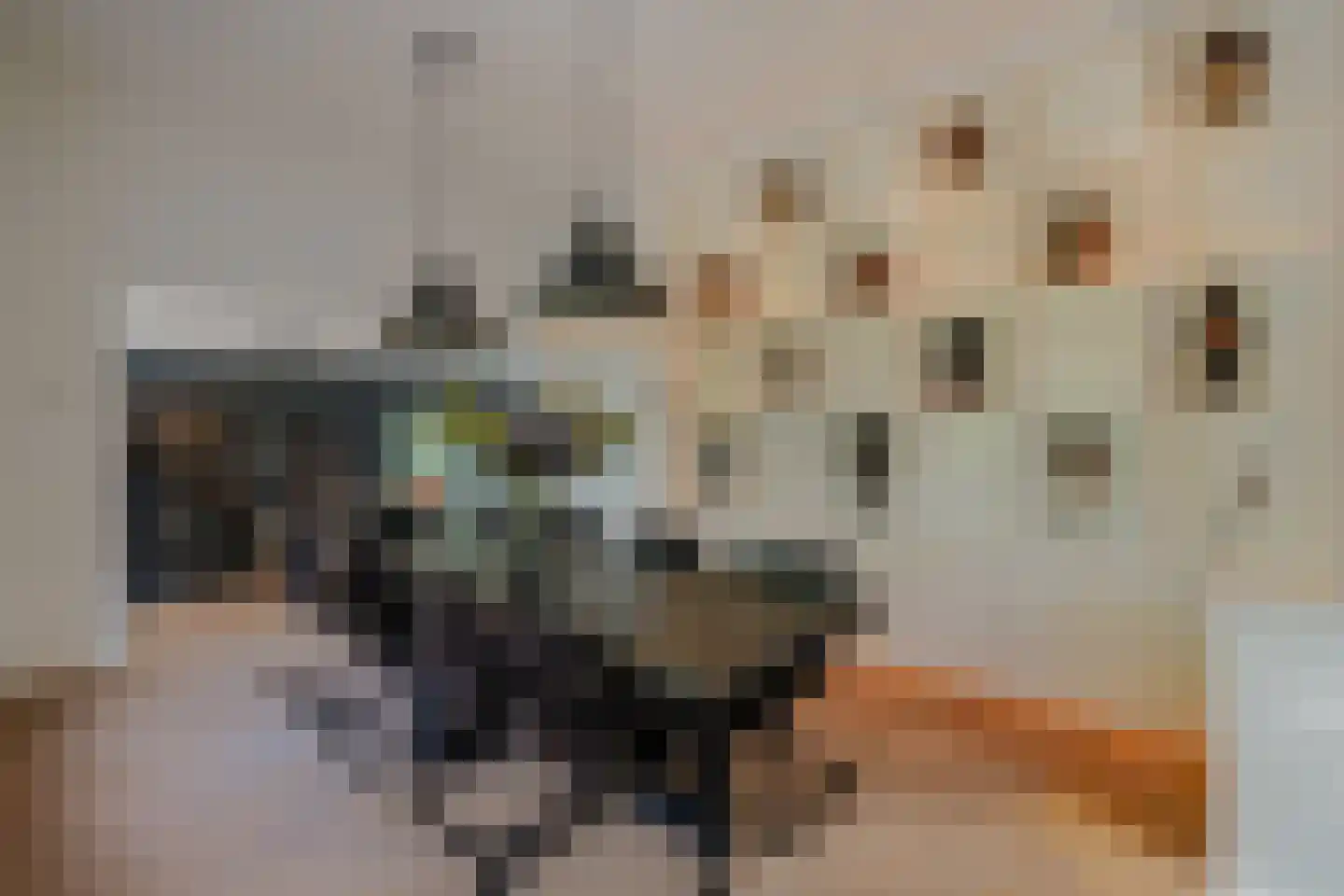 Oosteinde 257 Voorburg thumbnail 26