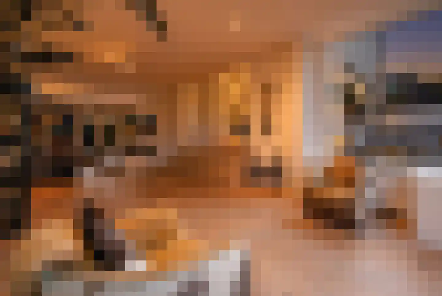Oosteinde 257 Voorburg thumbnail 28