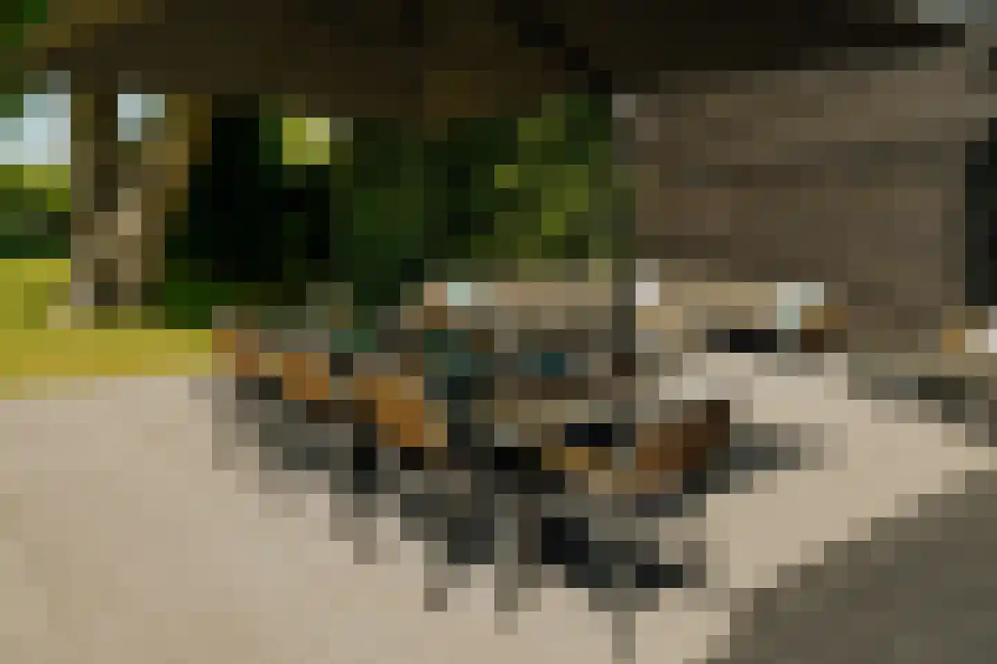 Oosteinde 257 Voorburg thumbnail 34