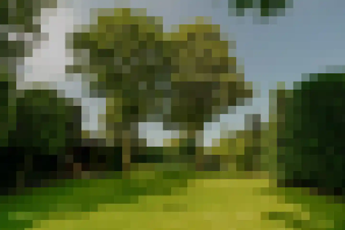 Oosteinde 257 Voorburg thumbnail 35