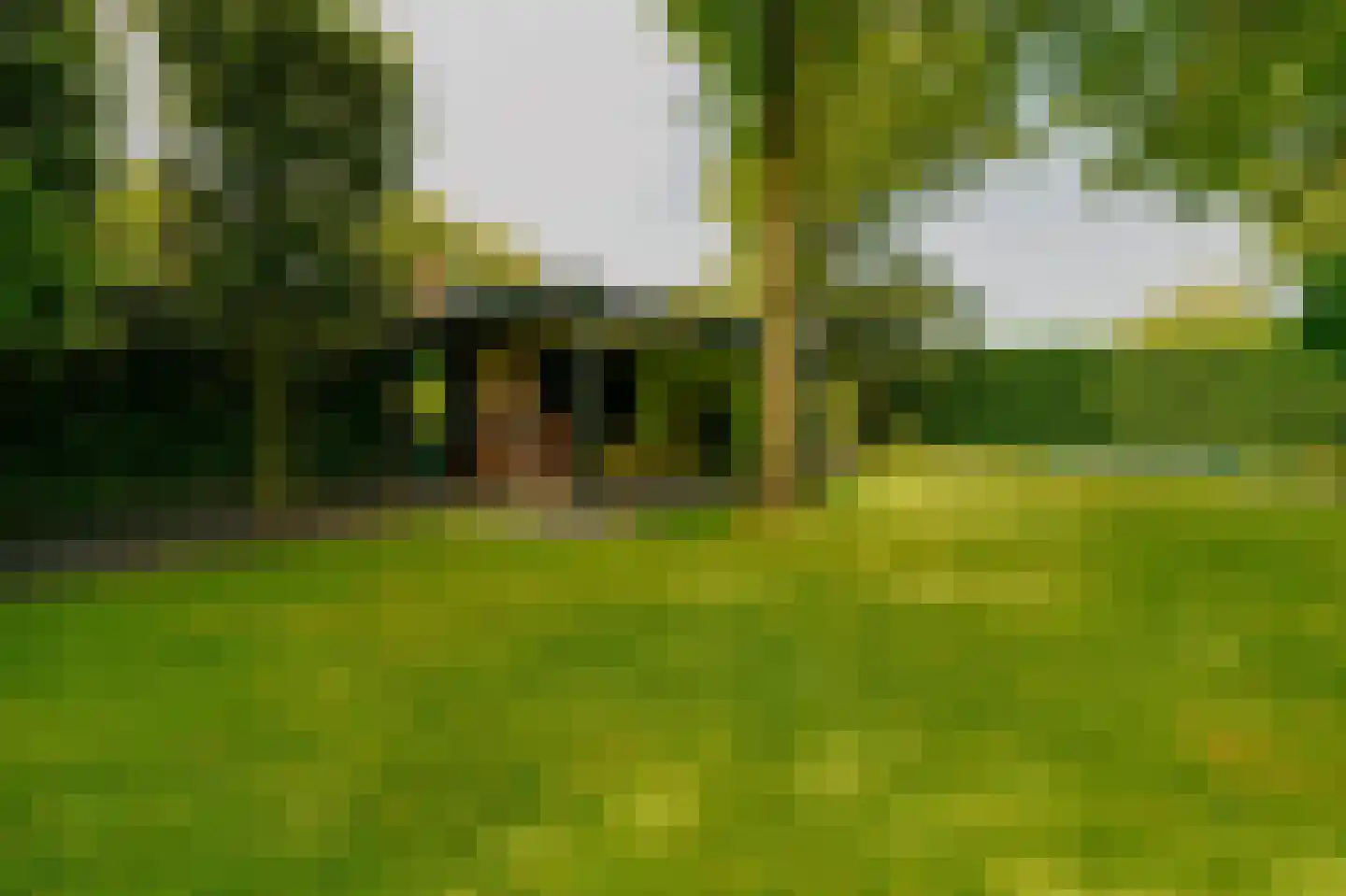 Oosteinde 257 Voorburg thumbnail 39