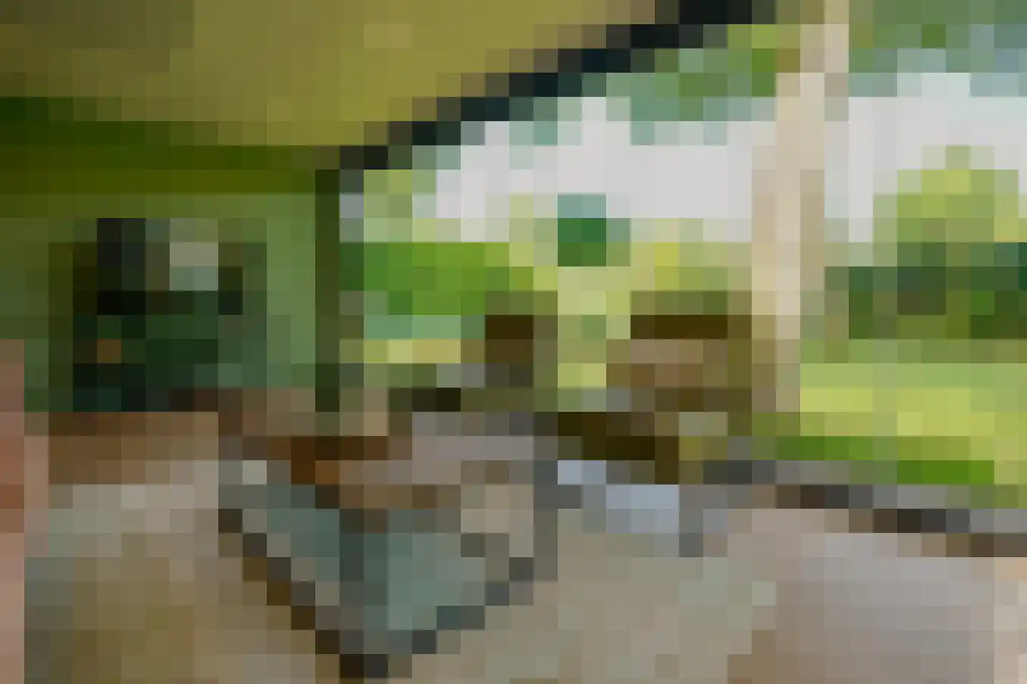 Oosteinde 257 Voorburg thumbnail 41