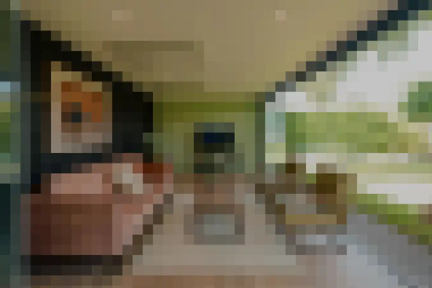 Oosteinde 257 Voorburg thumbnail 42