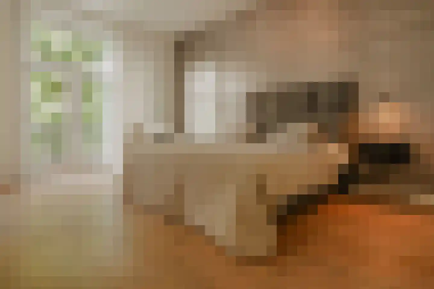 Oosteinde 257 Voorburg thumbnail 47