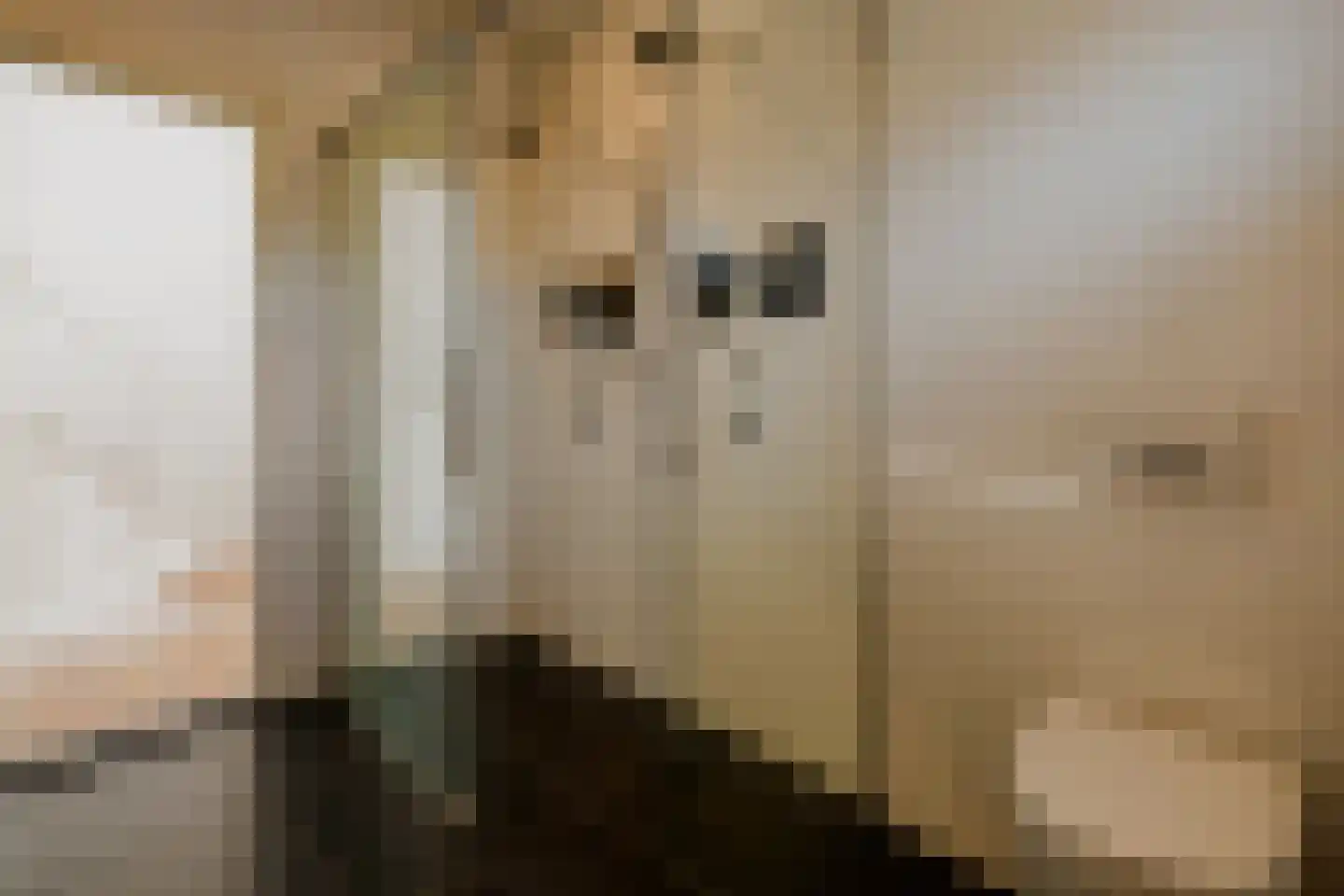 Oosteinde 257 Voorburg thumbnail 51