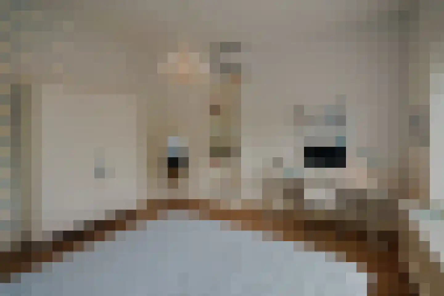Oosteinde 257 Voorburg thumbnail 53