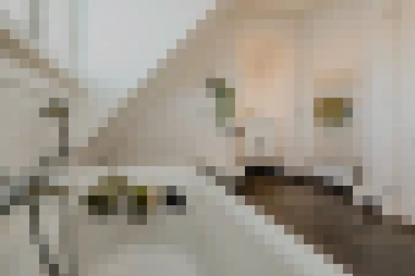 Oosteinde 257 Voorburg thumbnail 63