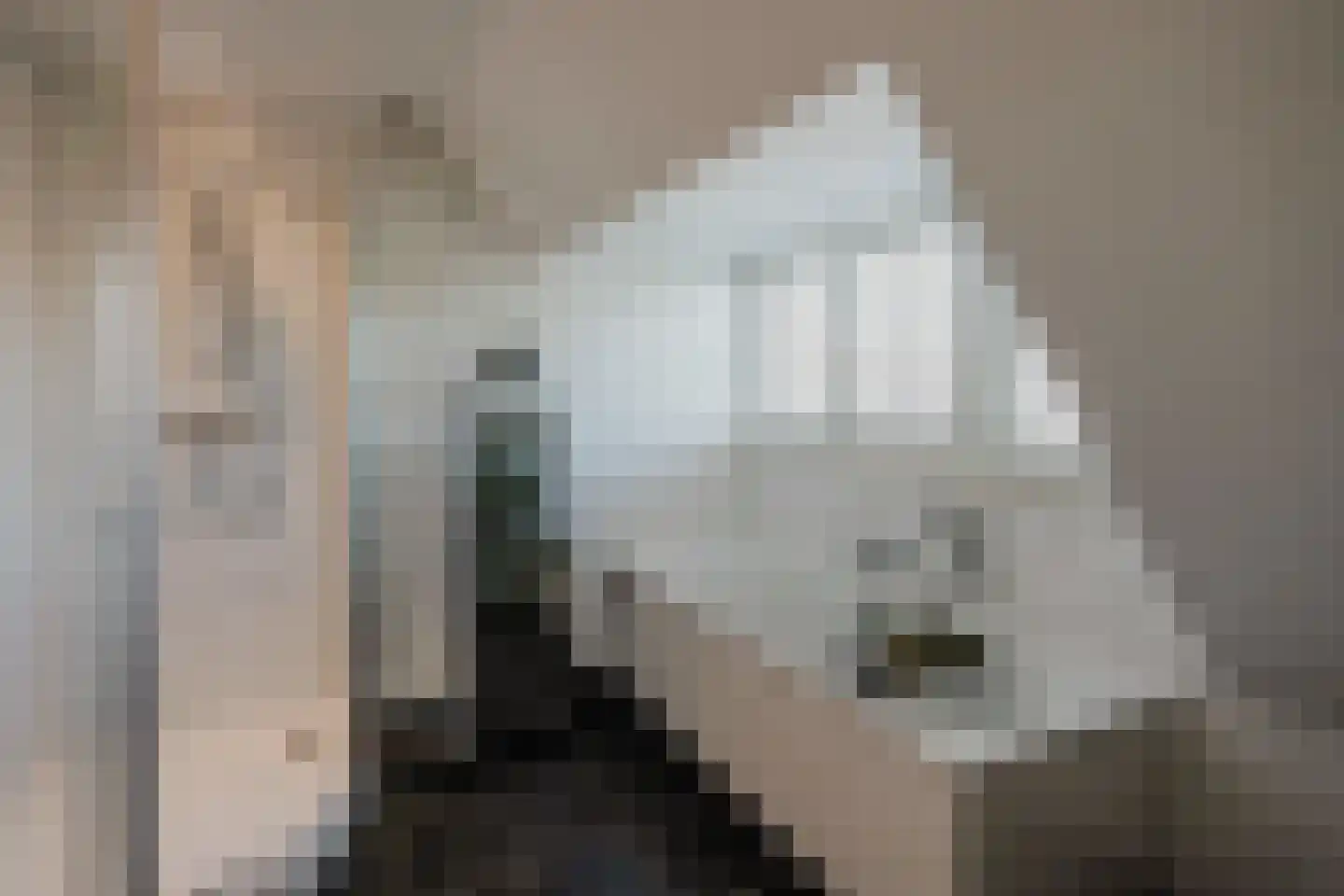 Oosteinde 257 Voorburg thumbnail 64