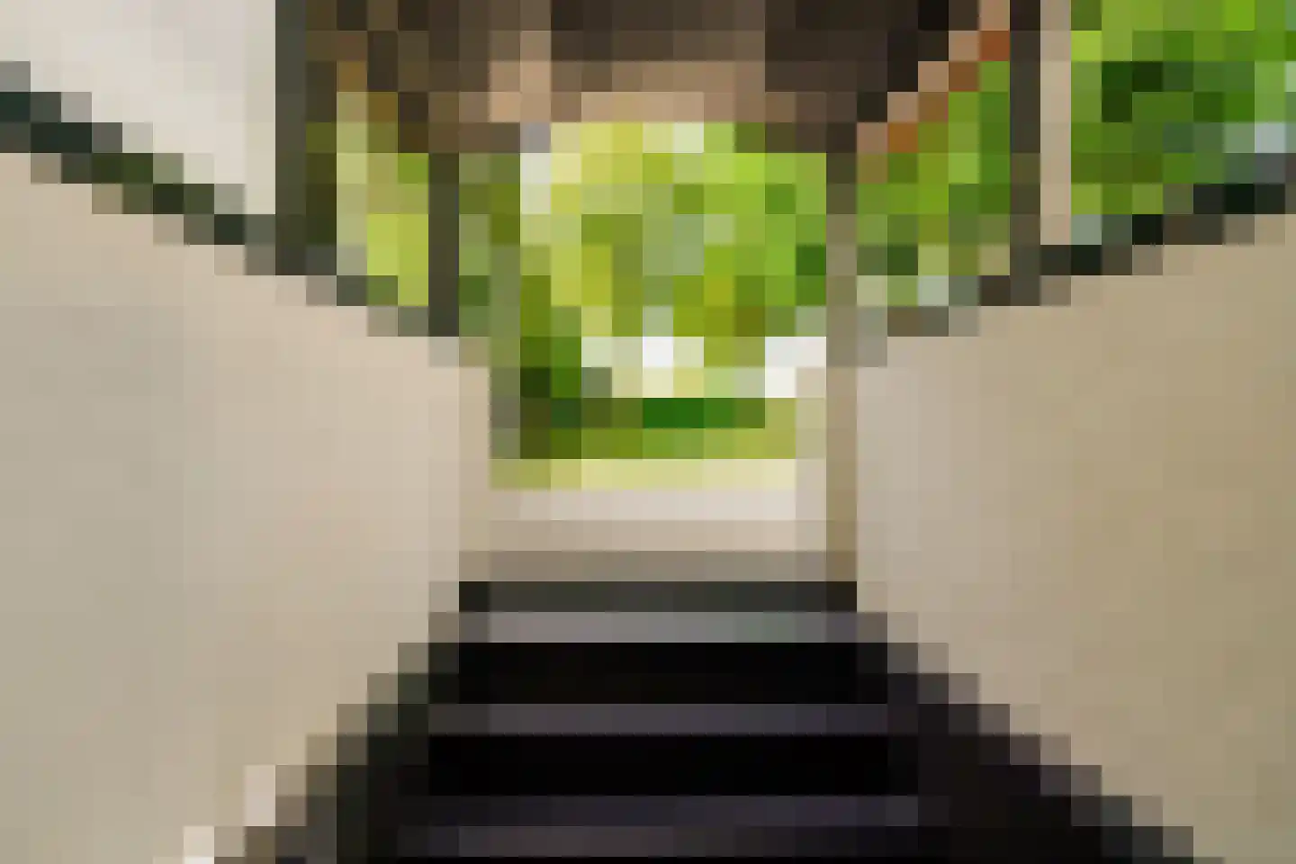 Oosteinde 257 Voorburg thumbnail 66