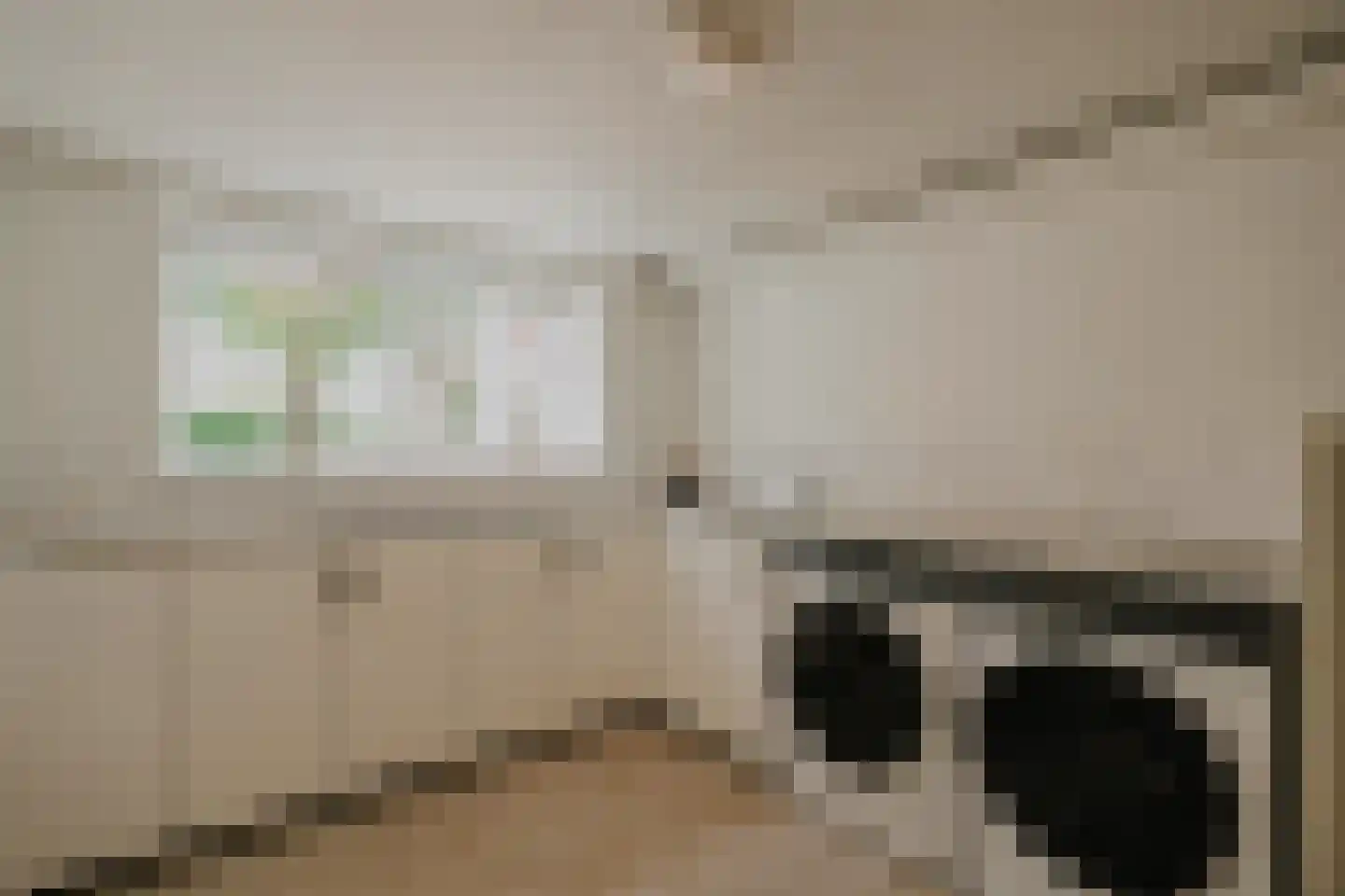 Oosteinde 257 Voorburg thumbnail 68
