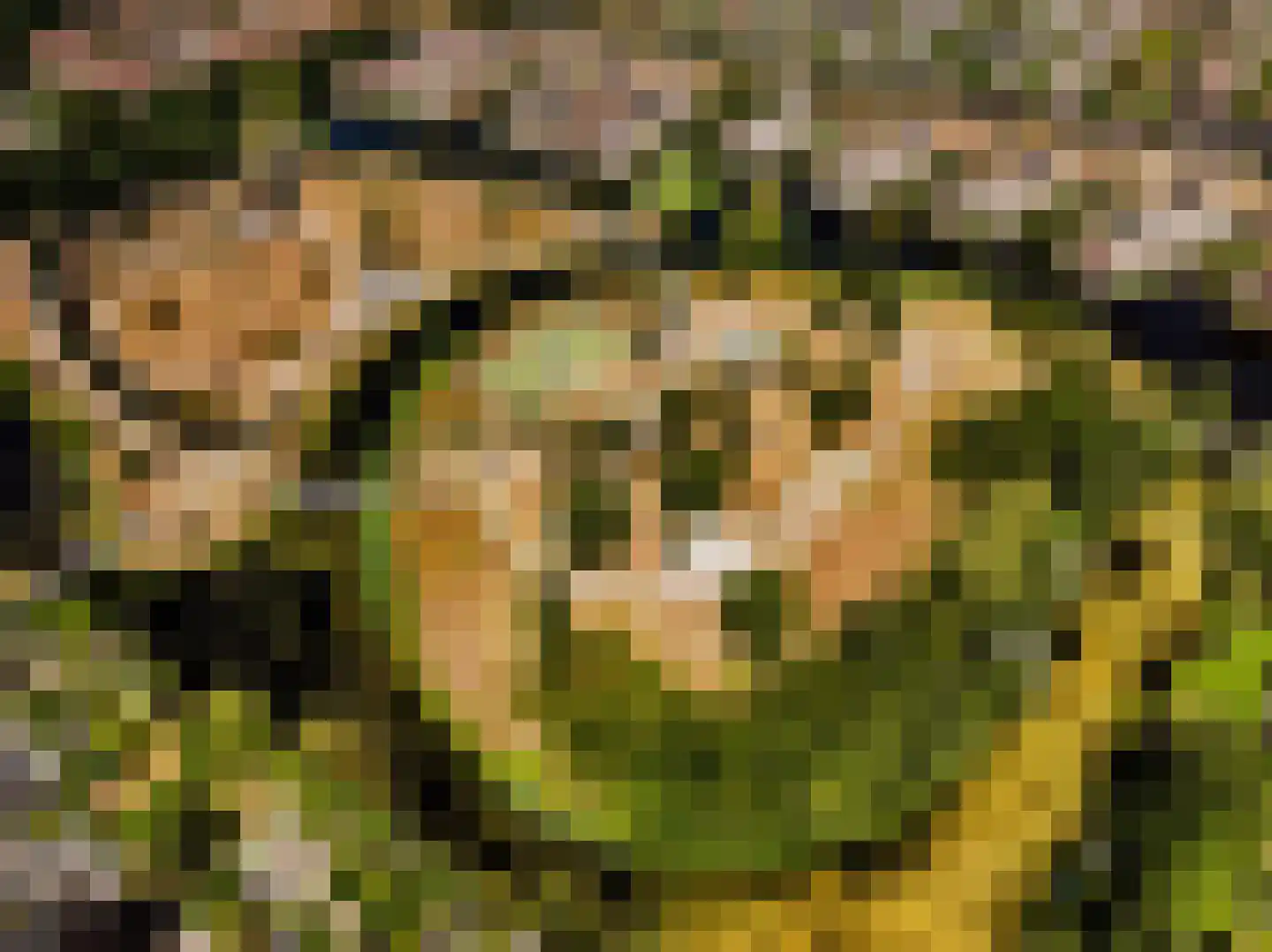 Oosteinde 257 Voorburg thumbnail 69