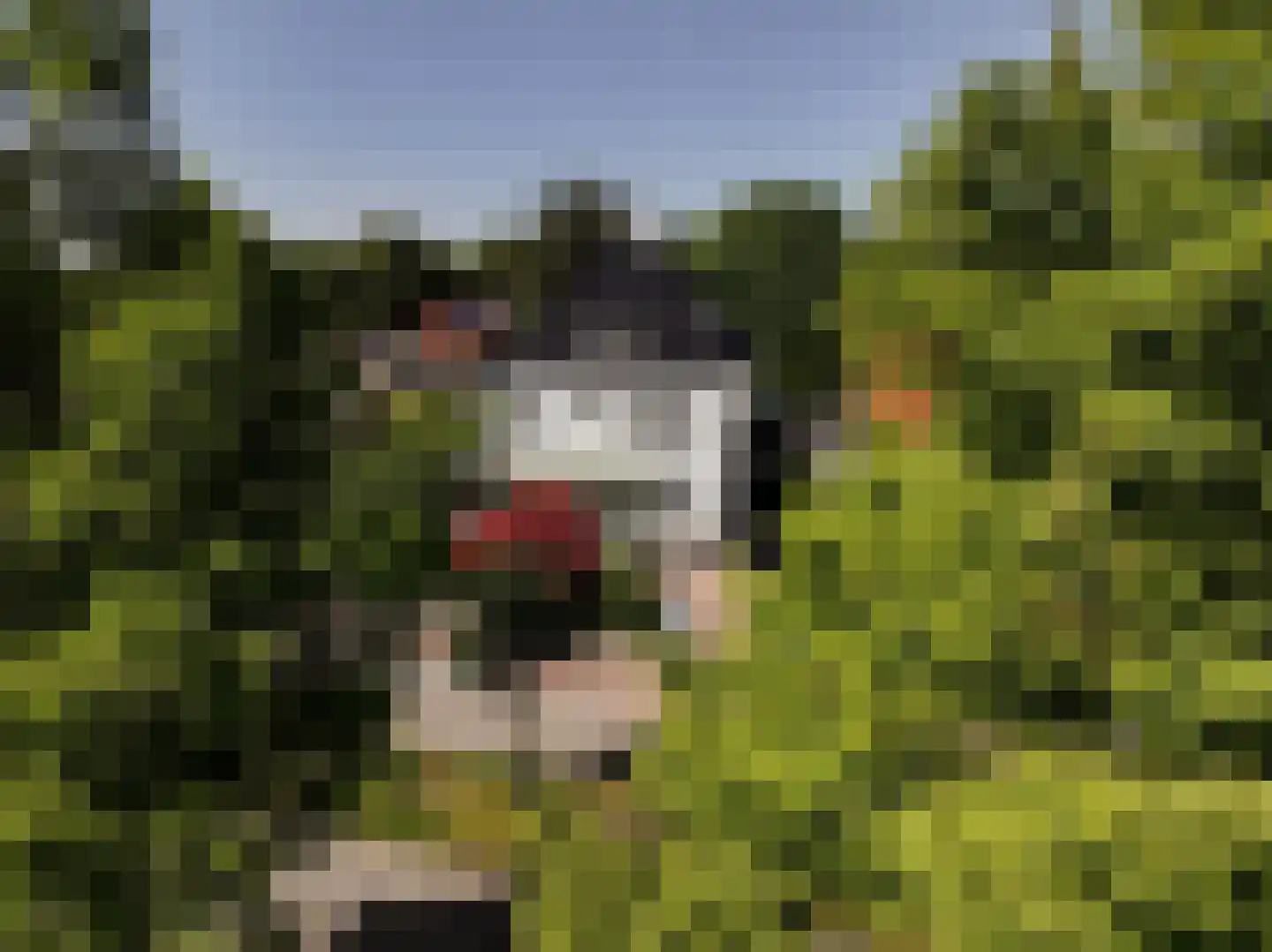 Oosteinde 257 Voorburg thumbnail 7