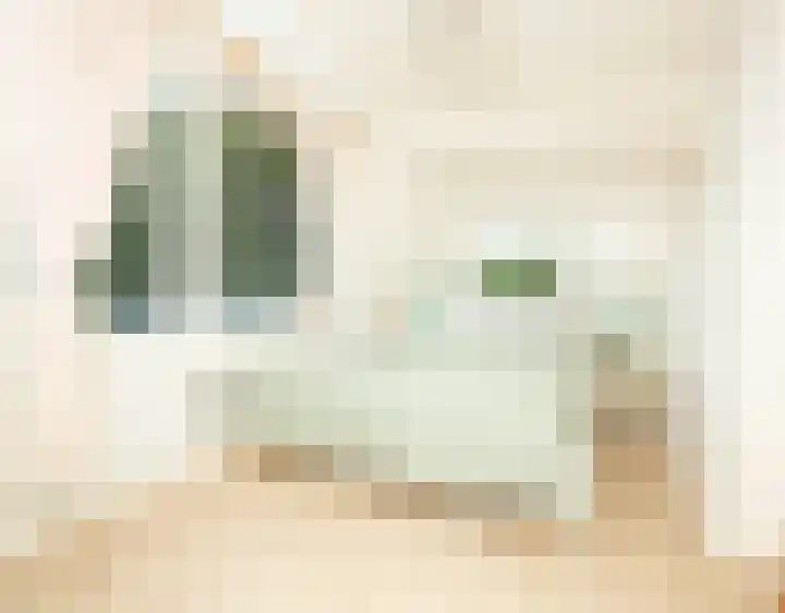 Oosteinde 26 Nootdorp thumbnail 15