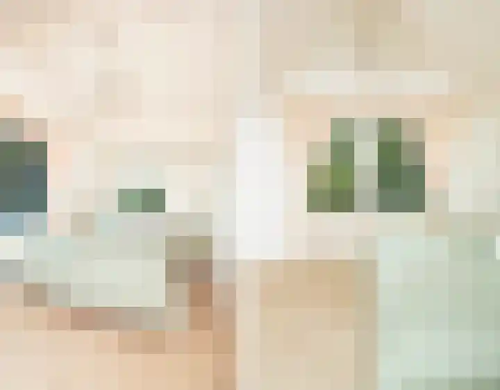Oosteinde 26 Nootdorp thumbnail 16