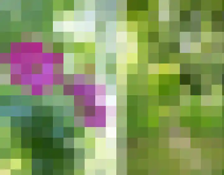 Oosteinde 26 Nootdorp thumbnail 26