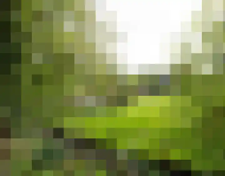 Oosteinde 26 Nootdorp thumbnail 28