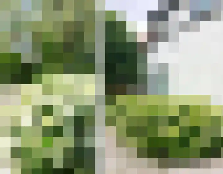 Oosteinde 26 Nootdorp thumbnail 29