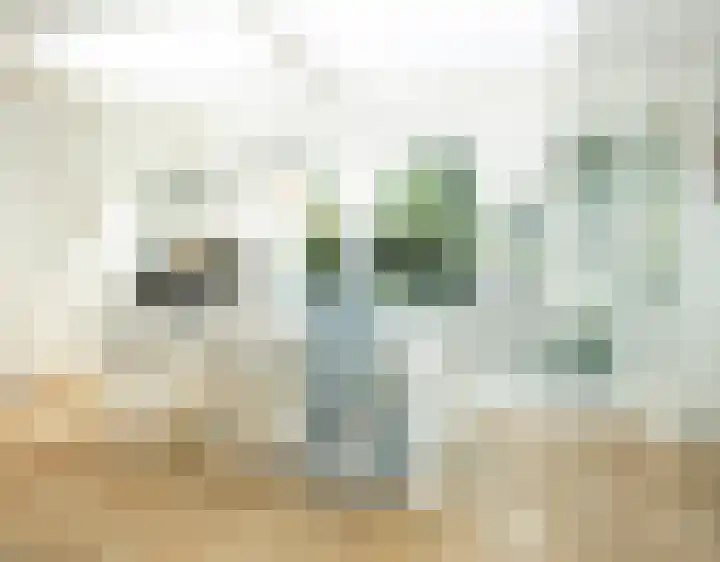 Oosteinde 26 Nootdorp thumbnail 9