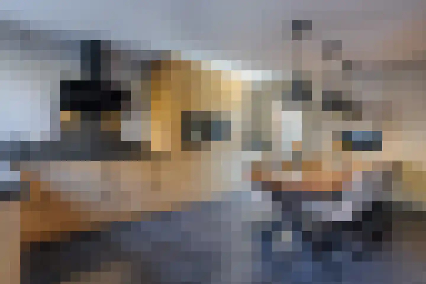 Oosteinde 263 Vriezenveen thumbnail 14