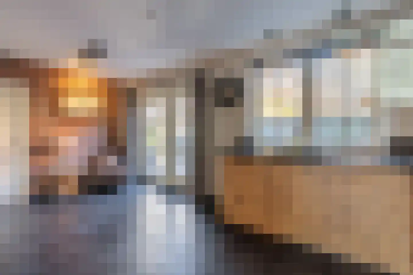 Oosteinde 263 Vriezenveen thumbnail 17