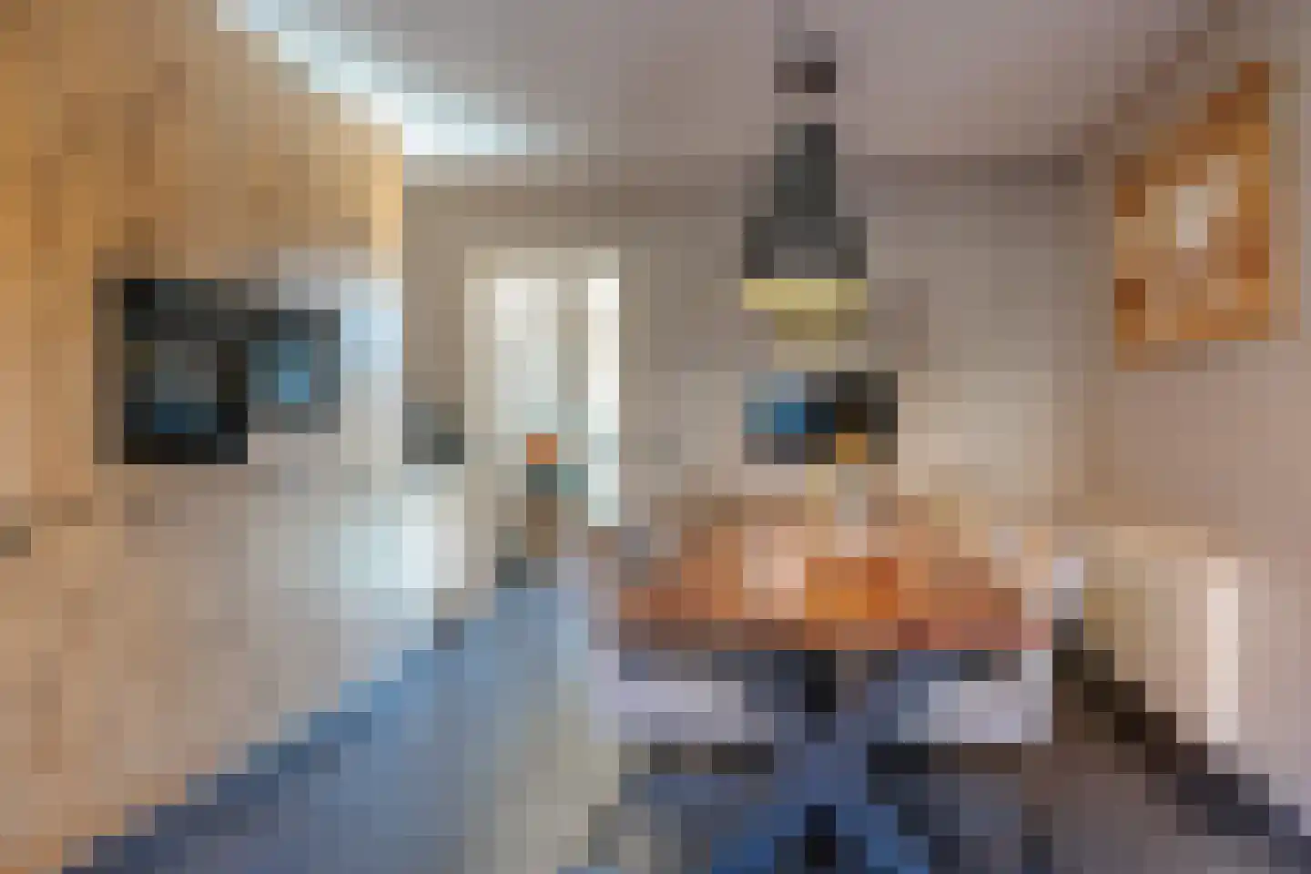 Oosteinde 263 Vriezenveen thumbnail 18