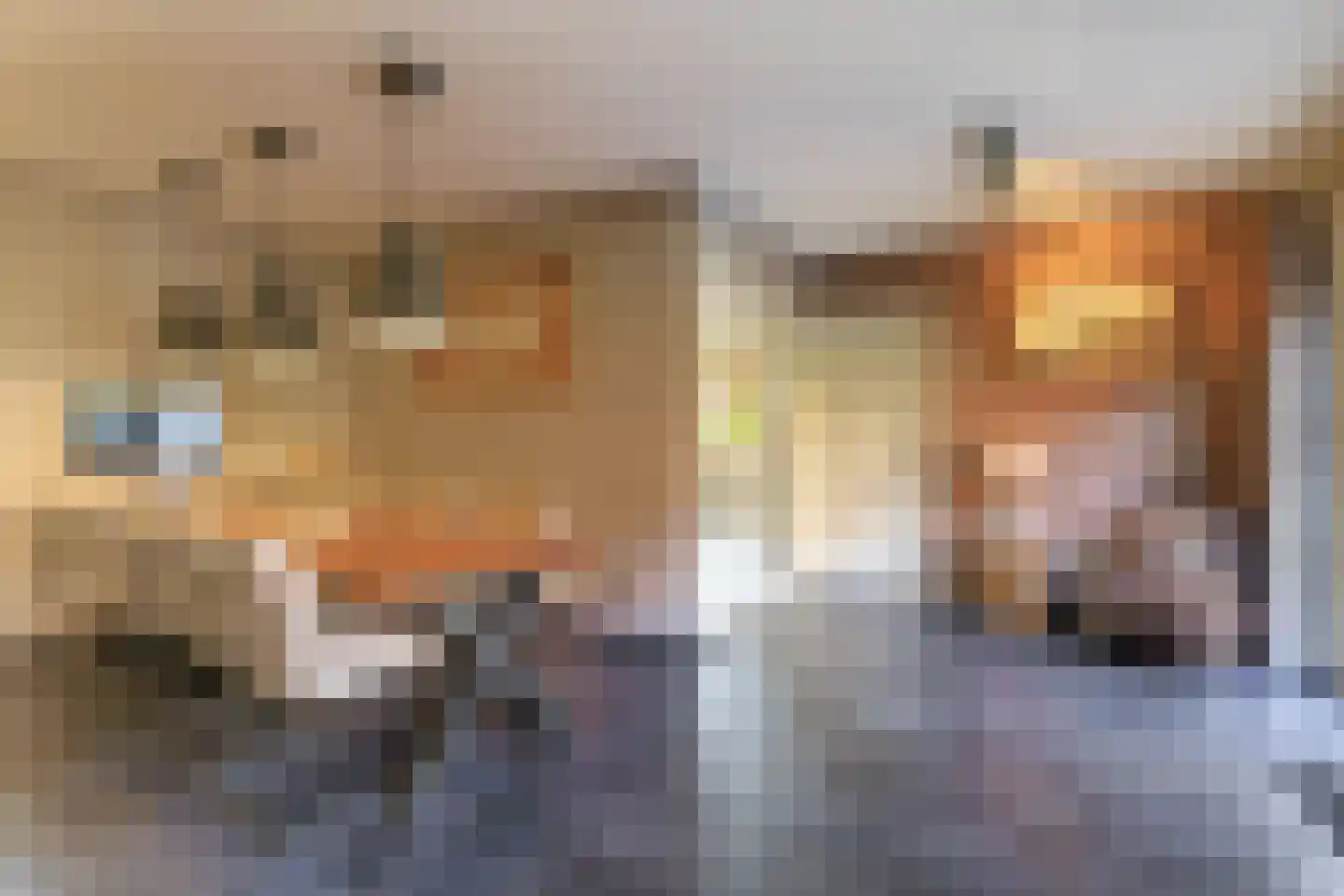 Oosteinde 263 Vriezenveen thumbnail 19