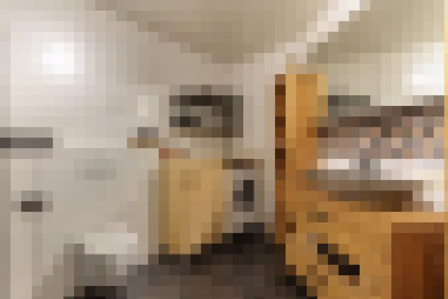 Oosteinde 263 Vriezenveen thumbnail 21