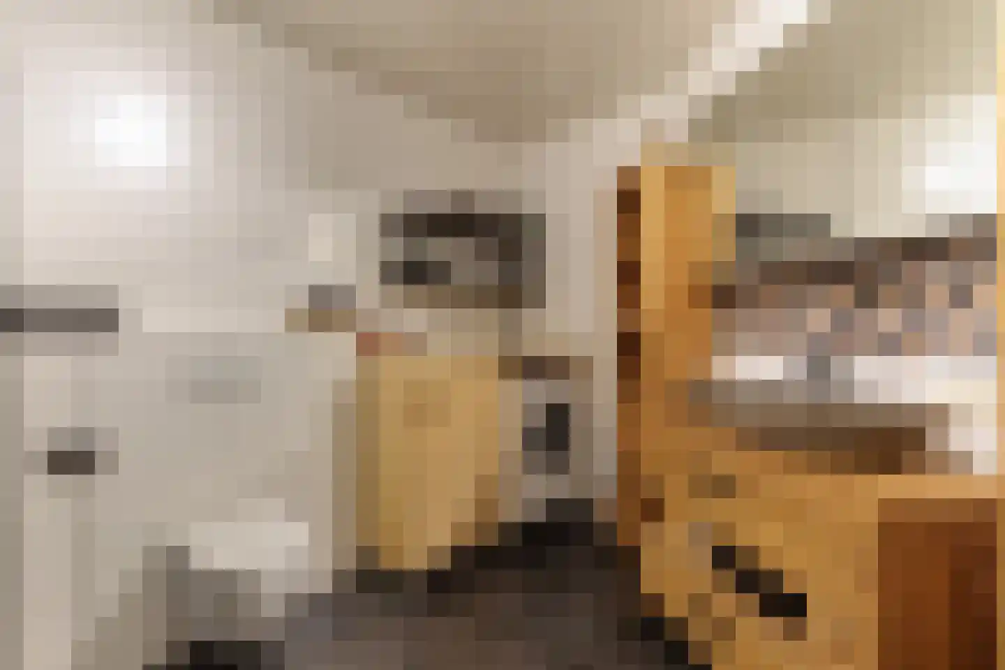 Oosteinde 263 Vriezenveen thumbnail 22
