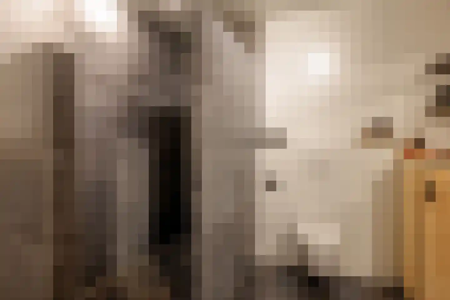 Oosteinde 263 Vriezenveen thumbnail 24