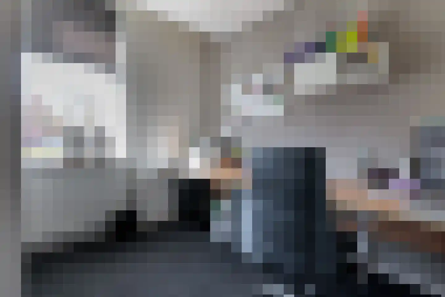Oosteinde 263 Vriezenveen thumbnail 25