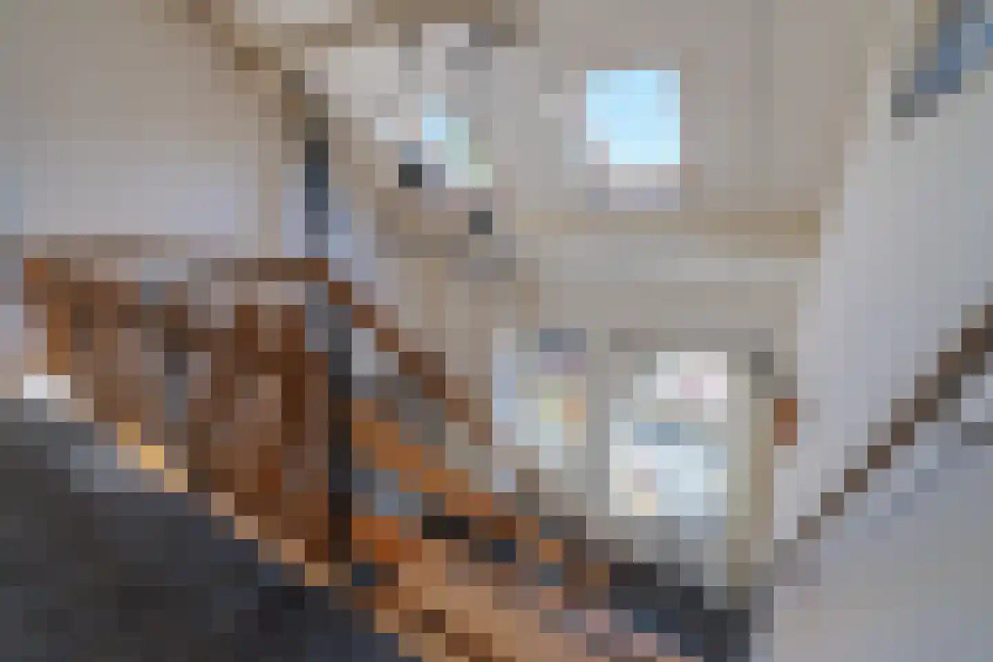 Oosteinde 263 Vriezenveen thumbnail 26