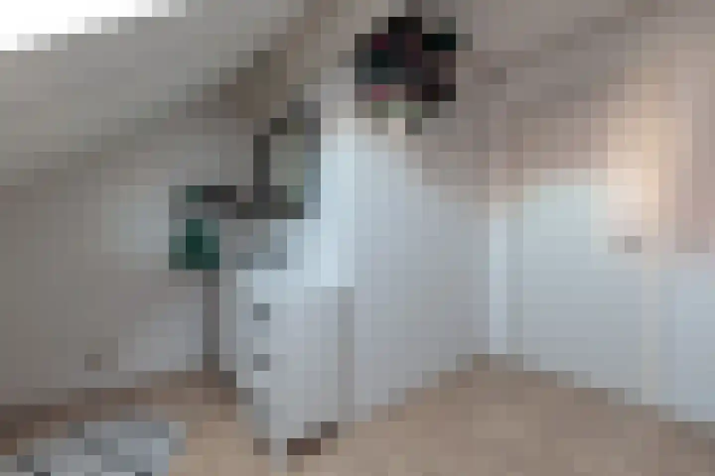 Oosteinde 263 Vriezenveen thumbnail 30
