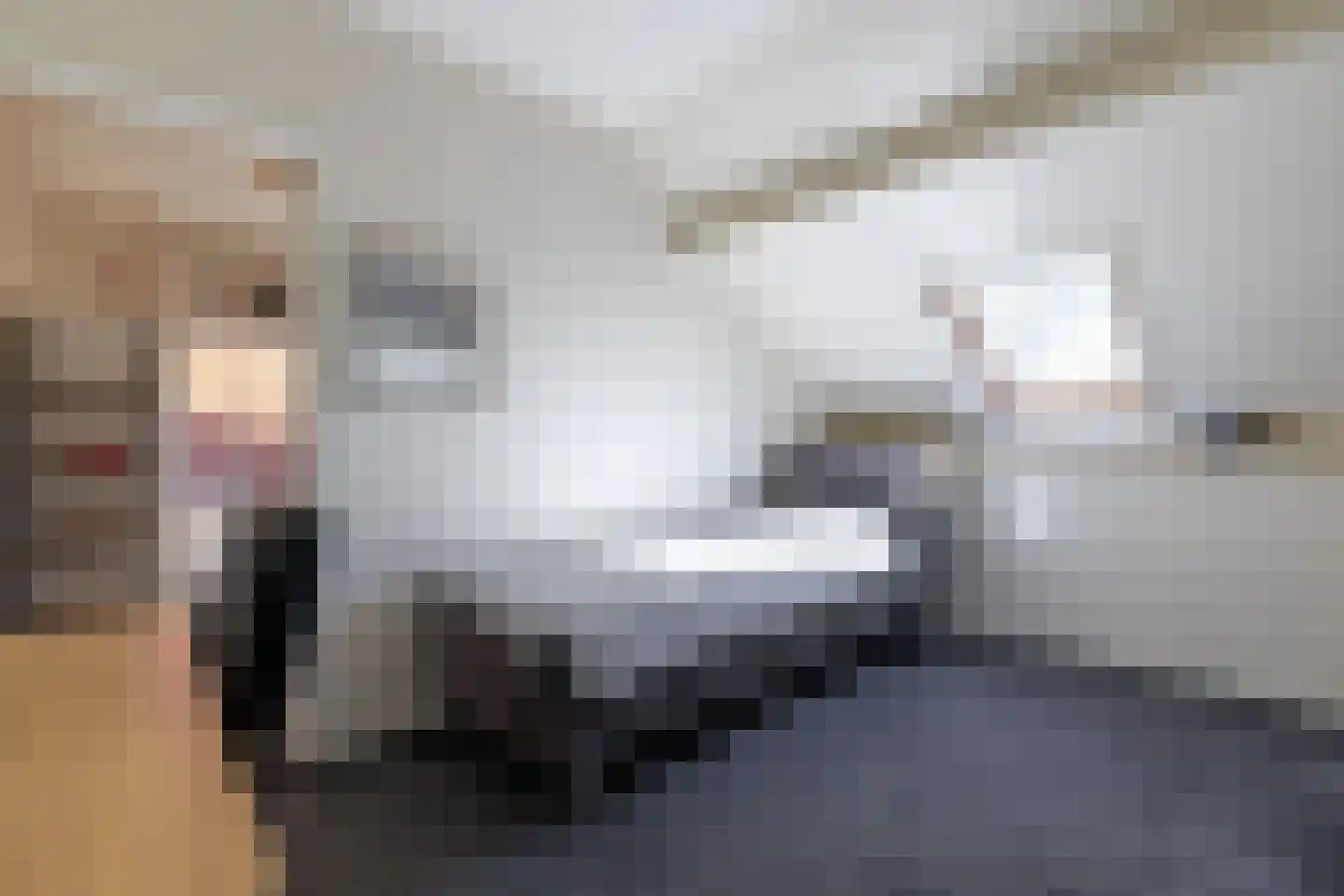 Oosteinde 263 Vriezenveen thumbnail 30