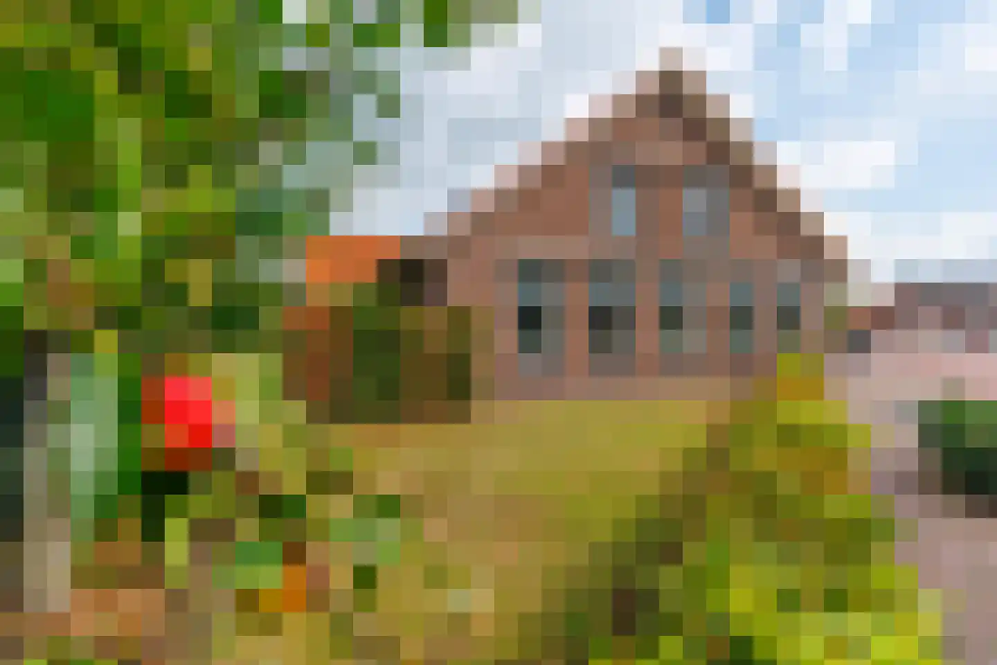 Oosteinde 263 Vriezenveen thumbnail 34