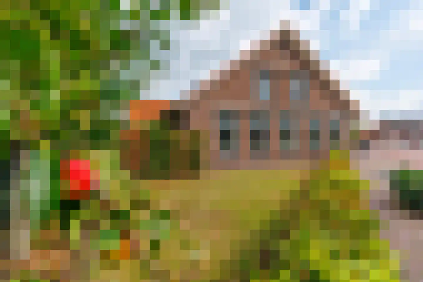 Oosteinde 263 Vriezenveen thumbnail 35