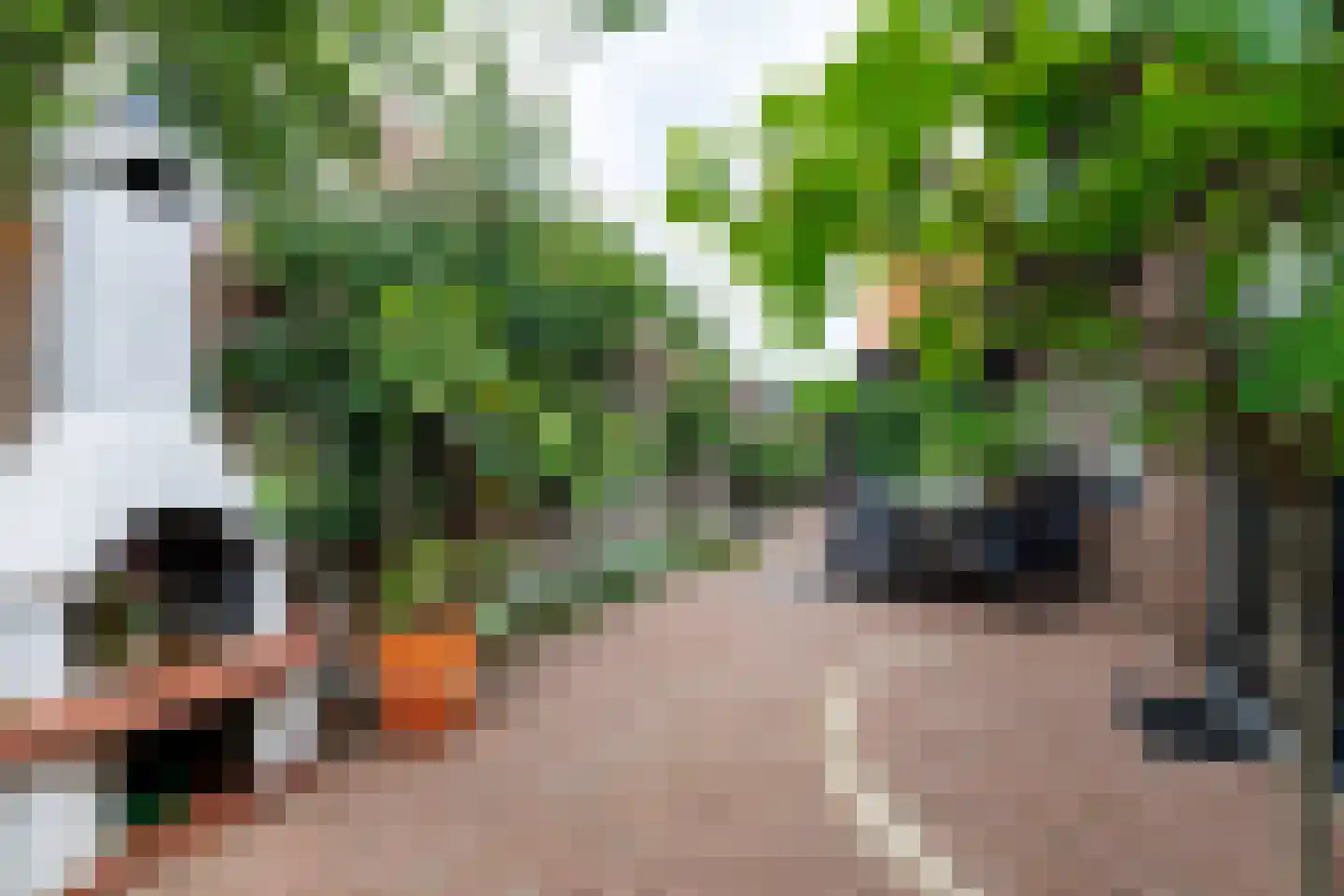 Oosteinde 263 Vriezenveen thumbnail 39
