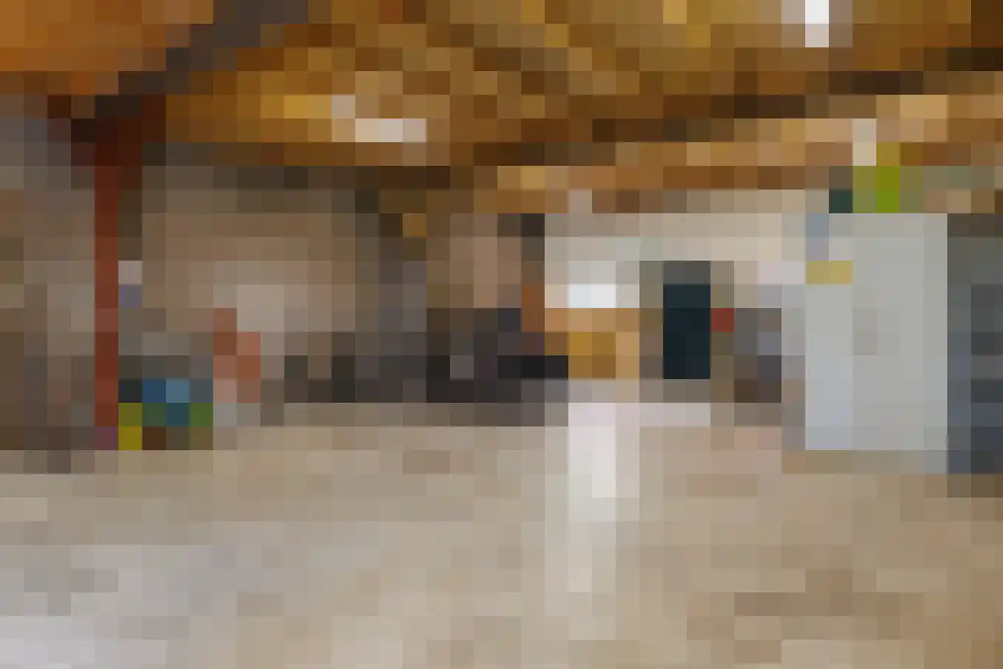 Oosteinde 263 Vriezenveen thumbnail 43