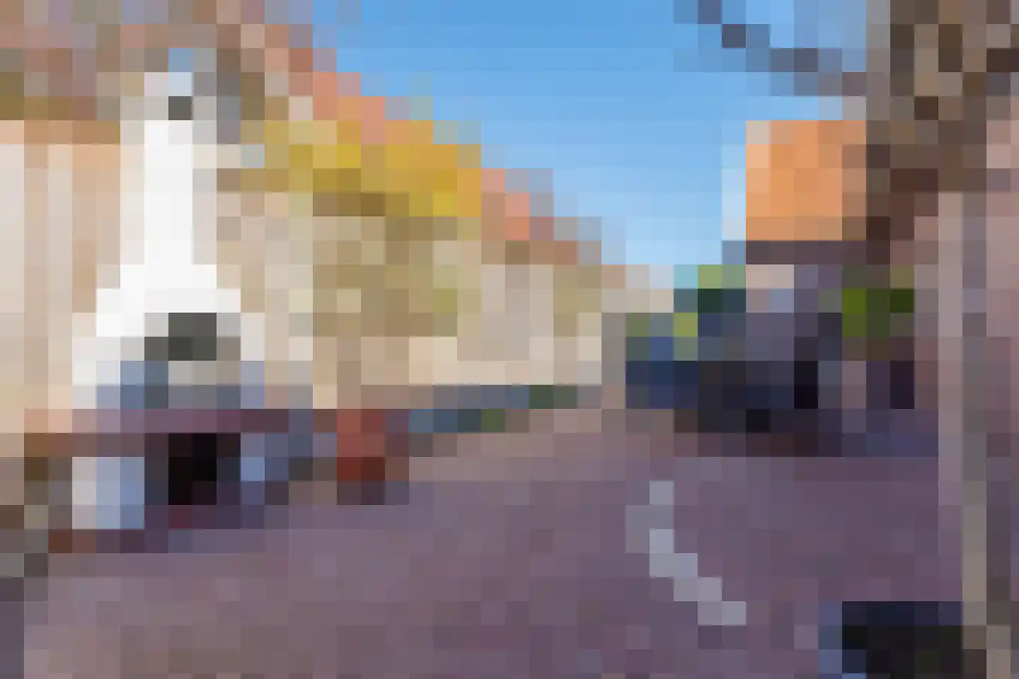 Oosteinde 263 Vriezenveen thumbnail 44