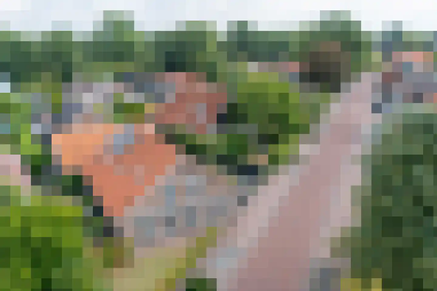 Oosteinde 263 Vriezenveen thumbnail 44
