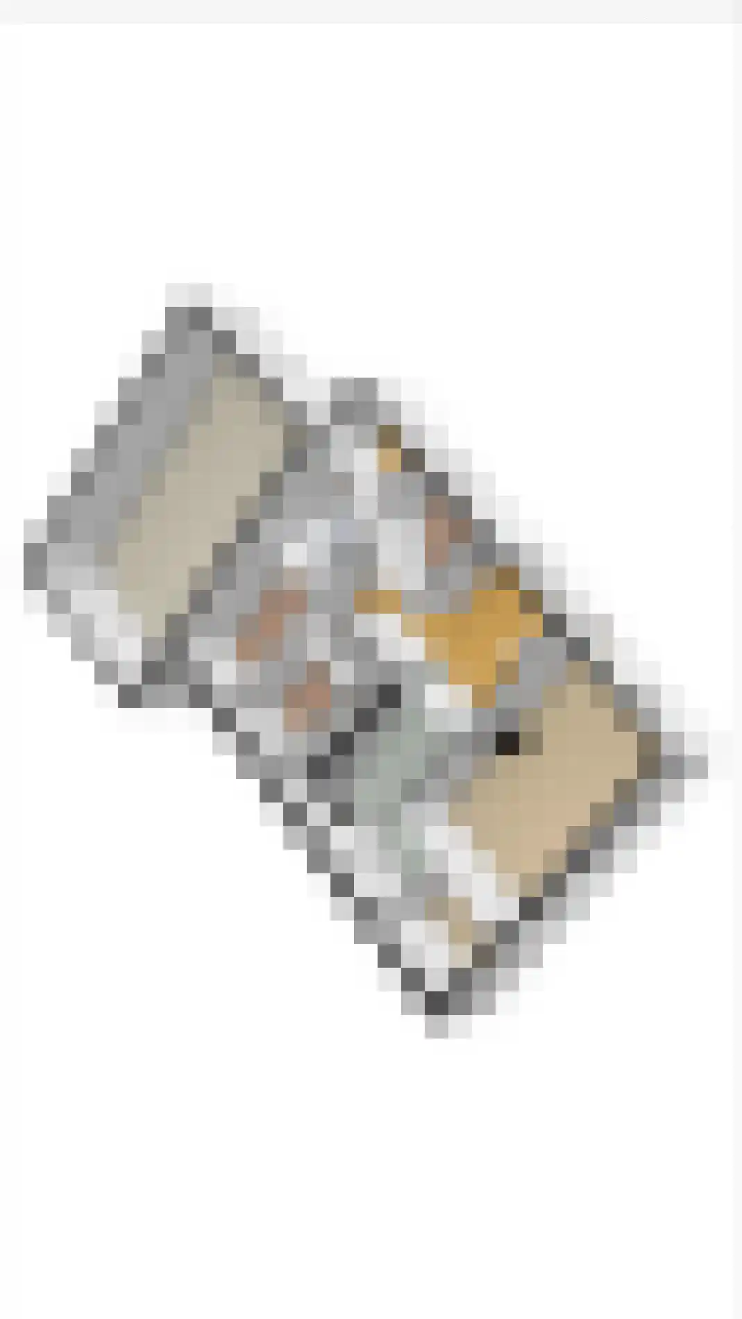 Oosteinde 263 Vriezenveen thumbnail 46