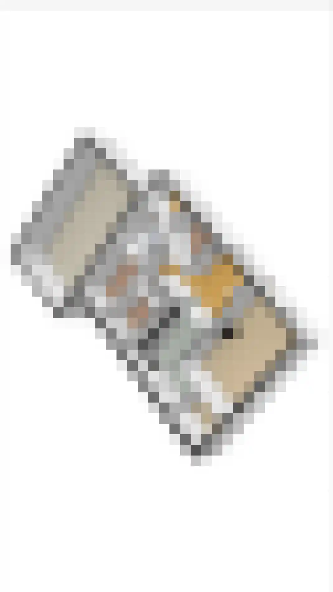 Oosteinde 263 Vriezenveen thumbnail 48