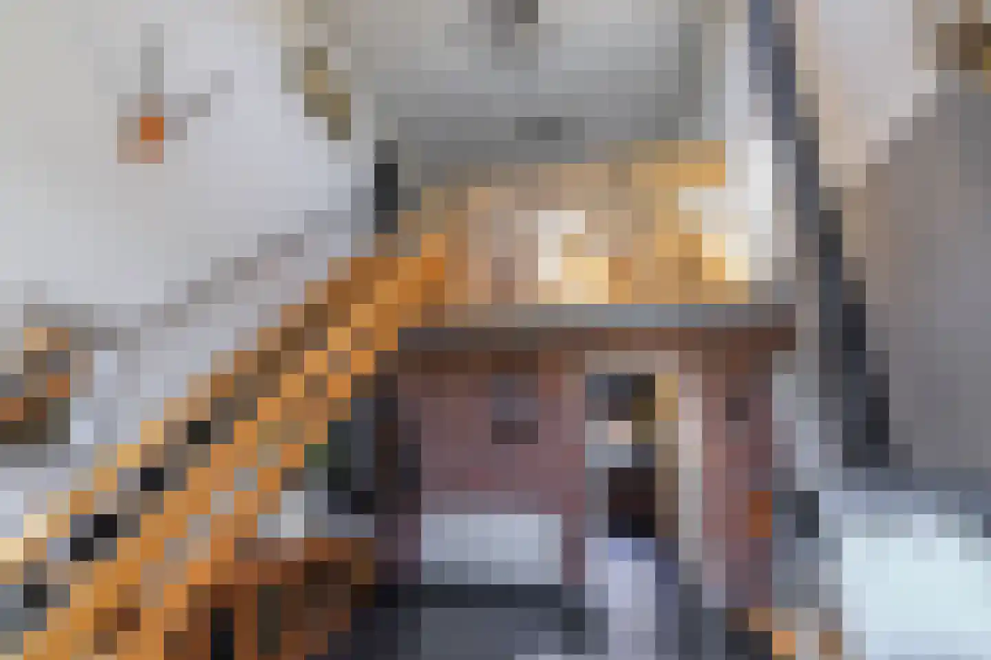 Oosteinde 263 Vriezenveen thumbnail 7