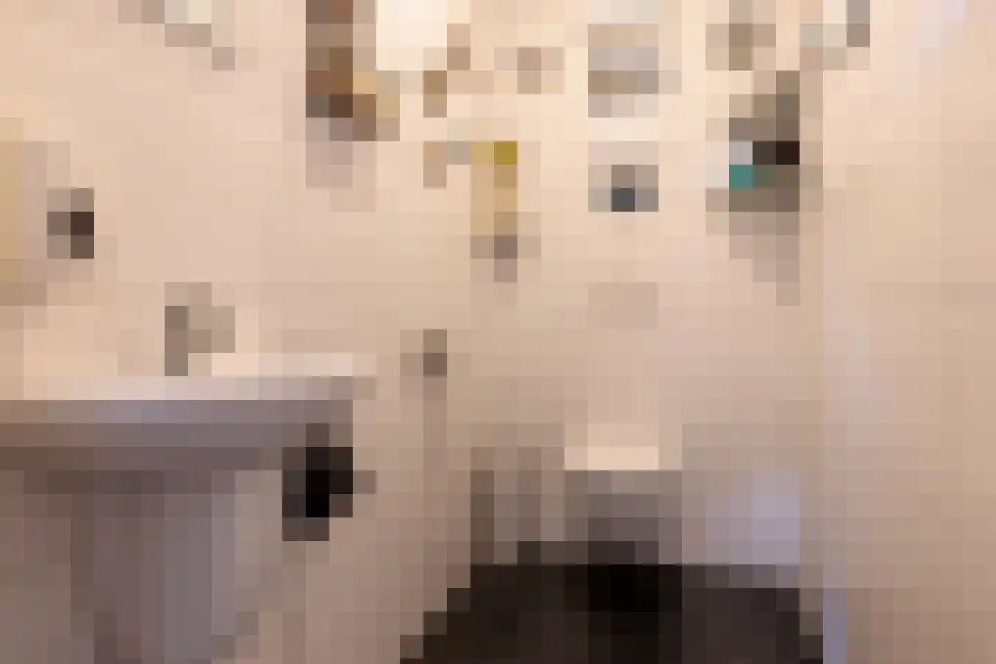 Oosteinde 263 Vriezenveen thumbnail 9